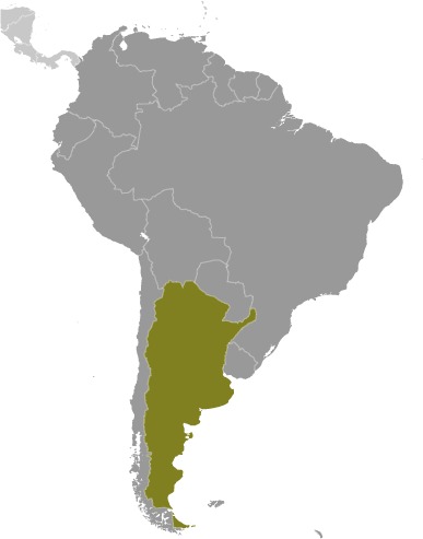 Argentina Location Map