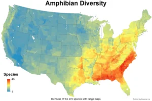 18 Brilliant Biodiversity Maps: Showing Mammals, Birds, Amphibians & Reptiles