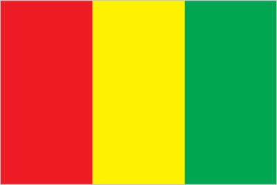 Guinea Flag