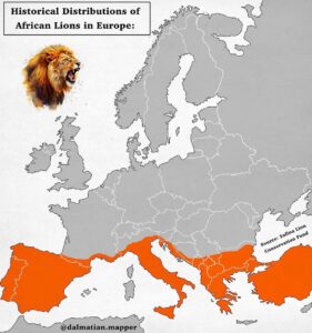 Historic Vs Present Geographical Distribution Of Lions Brilliant Maps