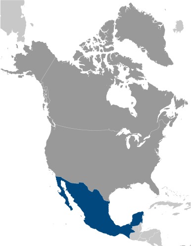 Mexico Location Map