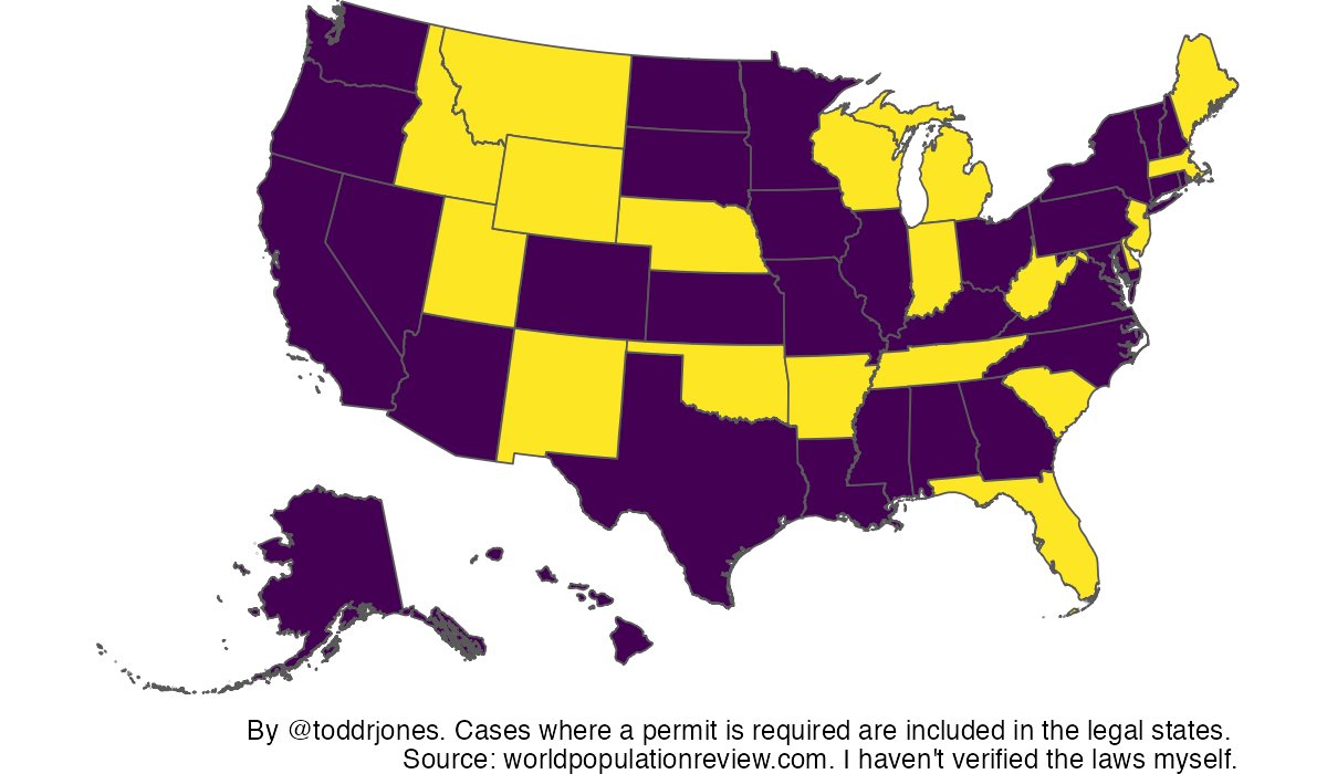 In the Yellow States It's Legal To Own A Squirrel