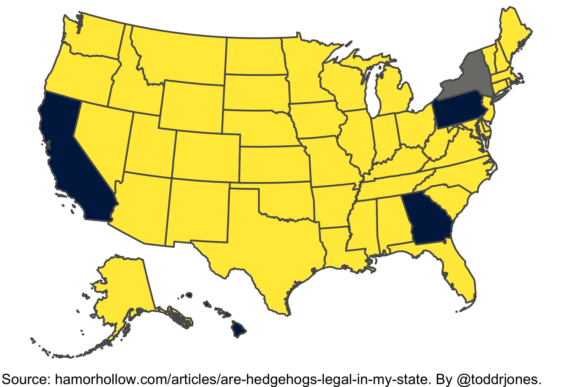 In the Yellow States It's Legal To Own A HEDGEHOG
