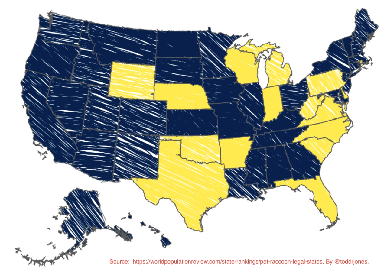 Where it is legal to own a raccoon in the United States