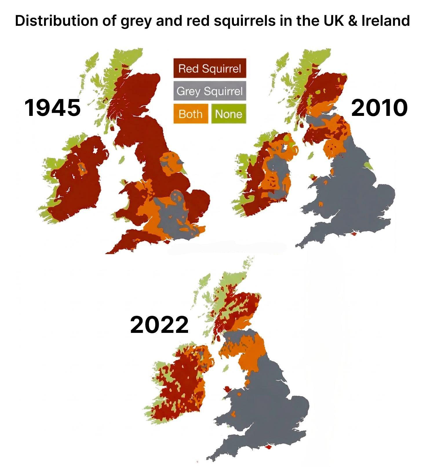 The Distribution Of Grey vs Red Squirrels In The UK & Ireland Between 1945 & 2022