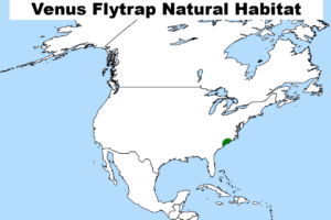 Venus Flytrap Natural Habitat Map