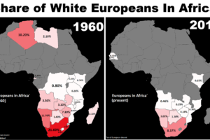 Share of White Europeans (Including Those With European Ancestry) By African Country In 1960 vs 2017